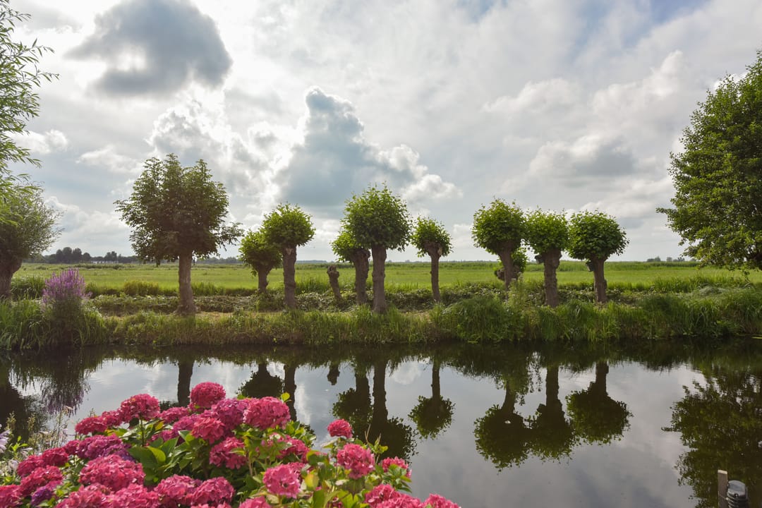 Foto 52 van Watertuin 50