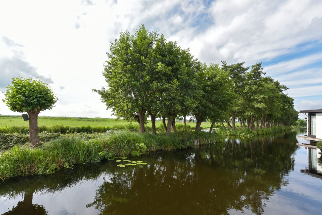 Foto 53 van Watertuin 50