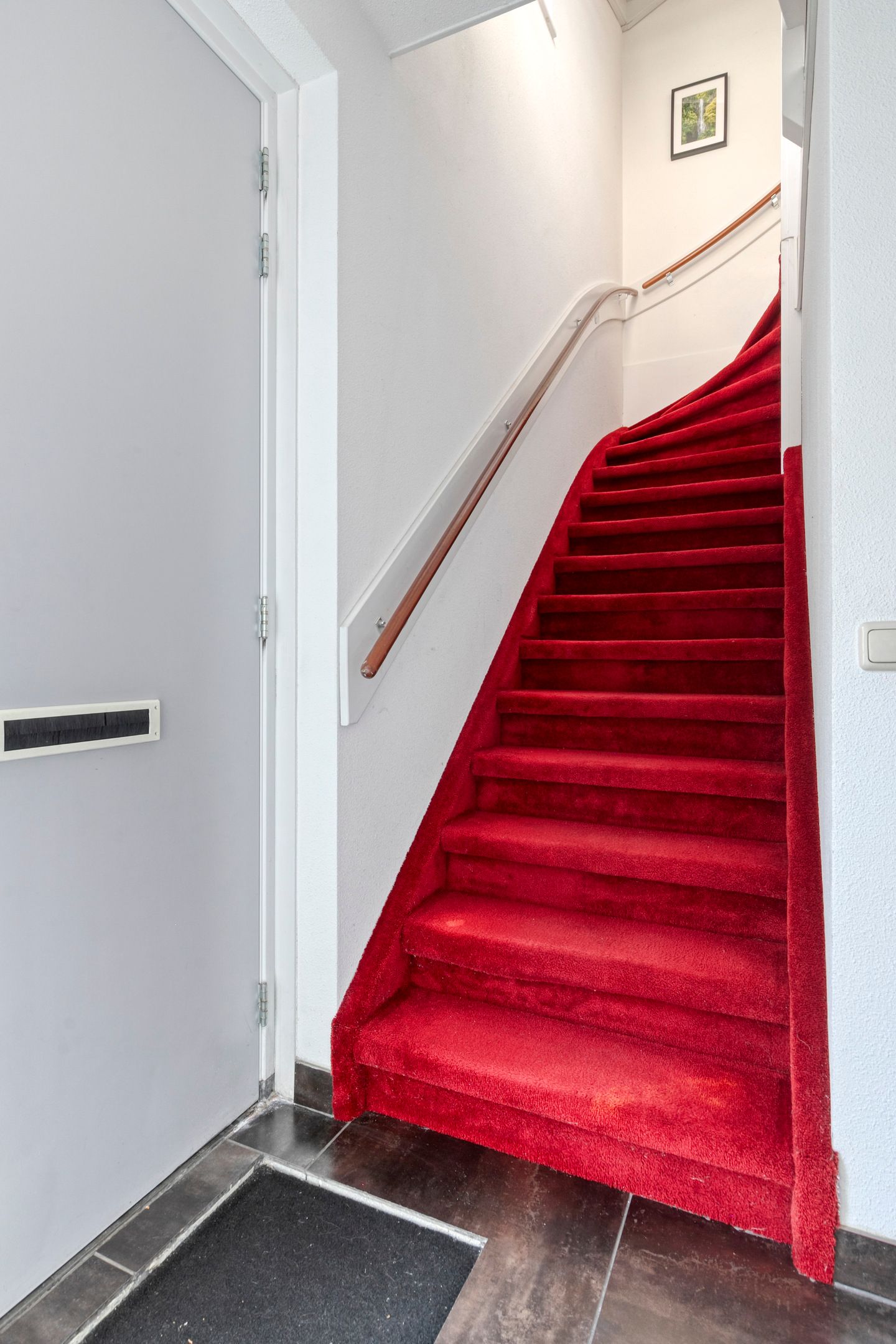 Foto 9 van Hamsterstraat 8