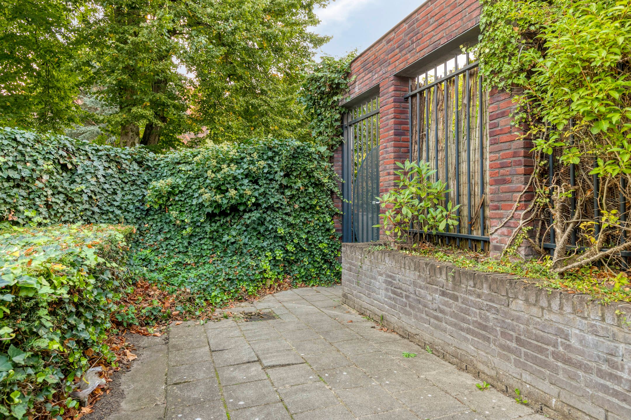 Foto 48 van Hamsterstraat 8