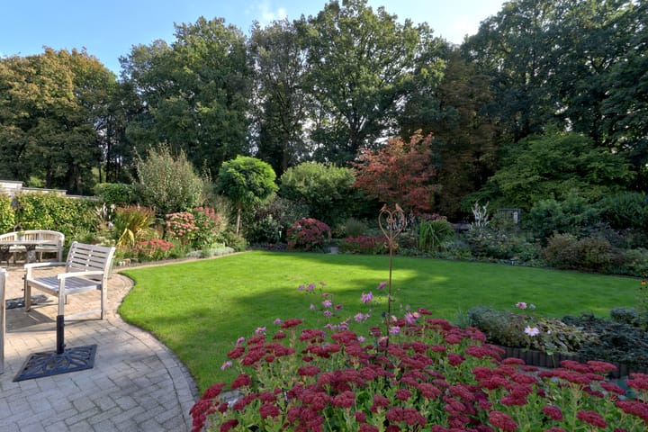 Photo 4 of Slingerbos 10