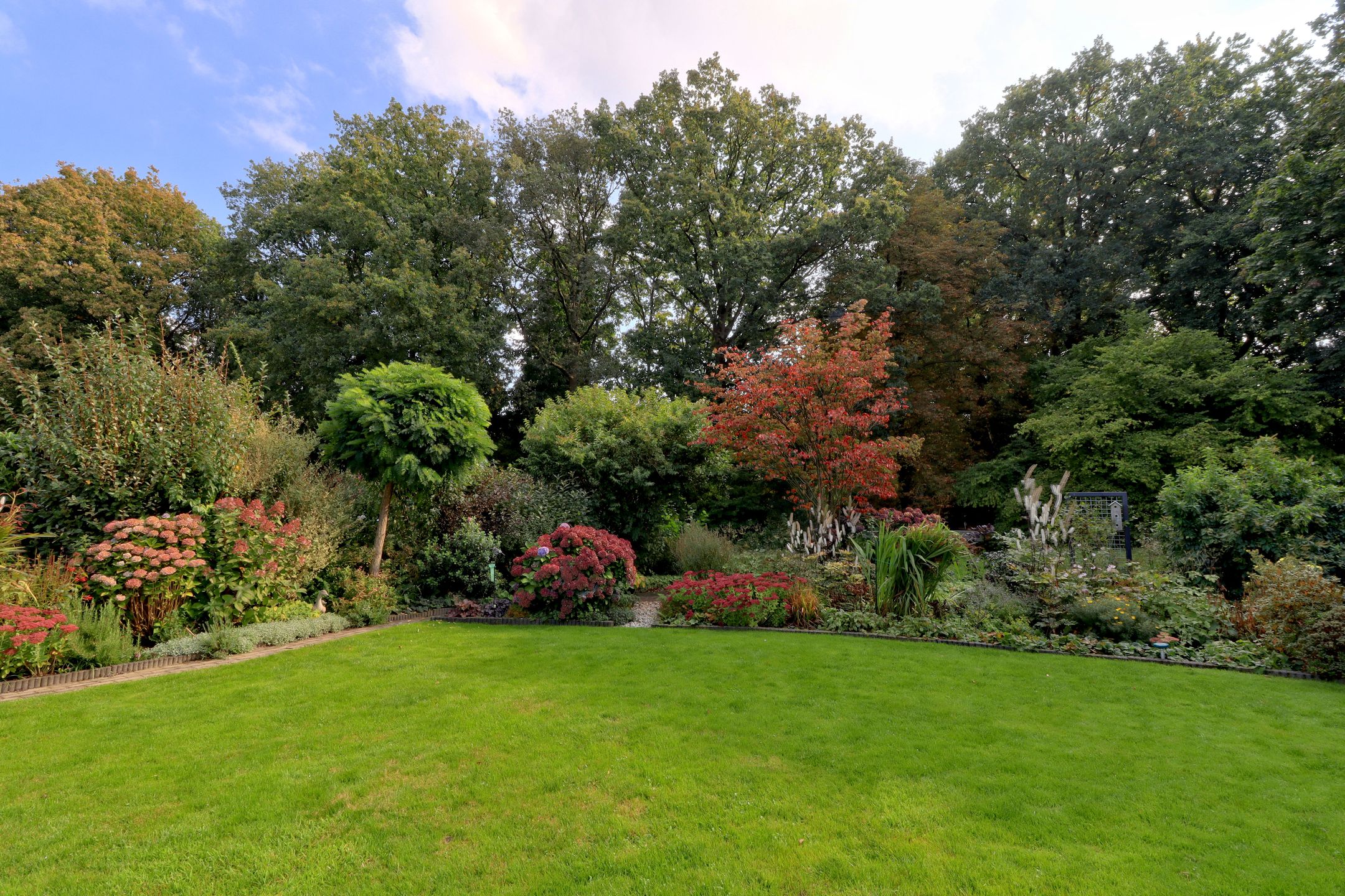 Photo 9 of Slingerbos 10