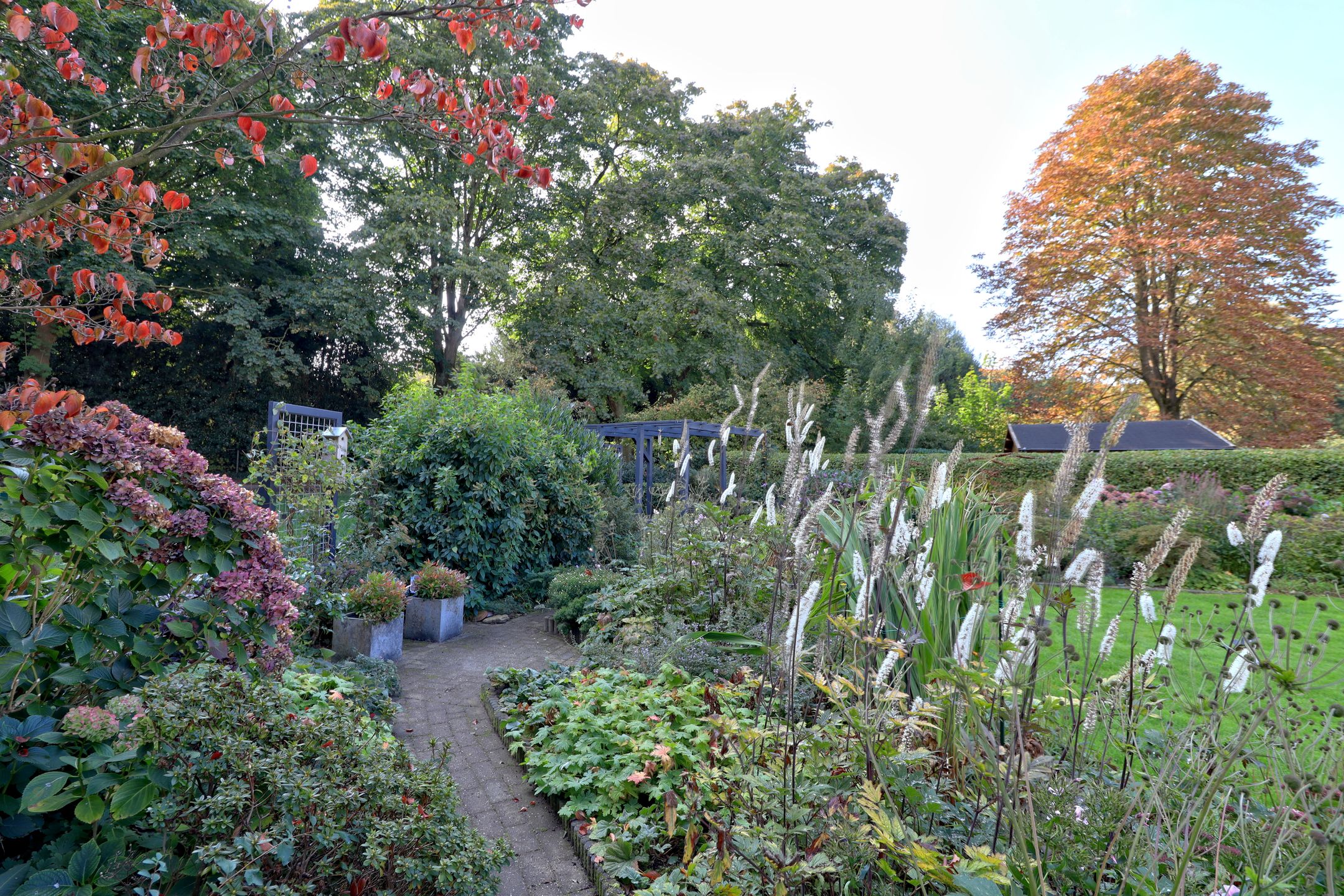 Photo 12 of Slingerbos 10