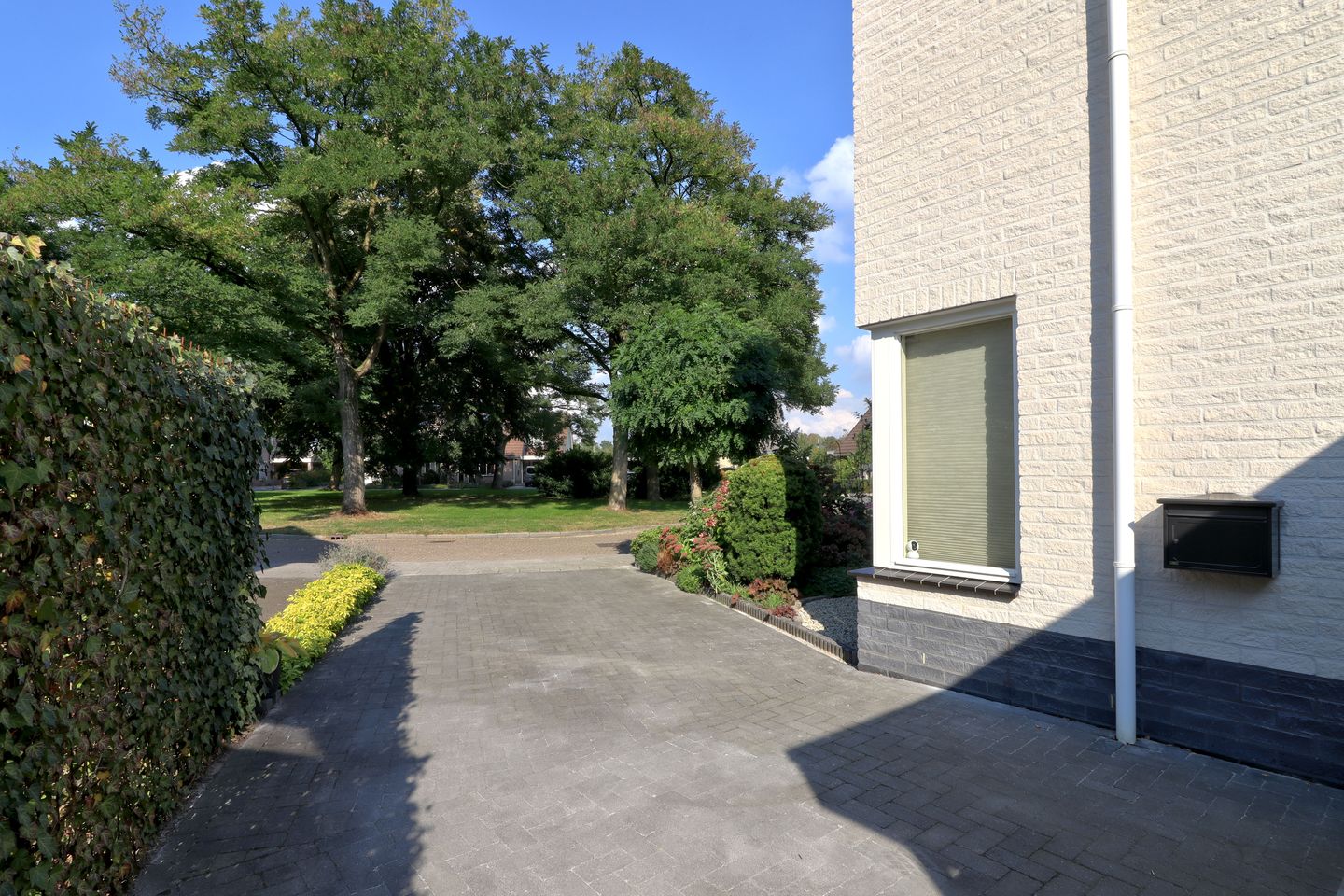 Photo 19 of Slingerbos 10