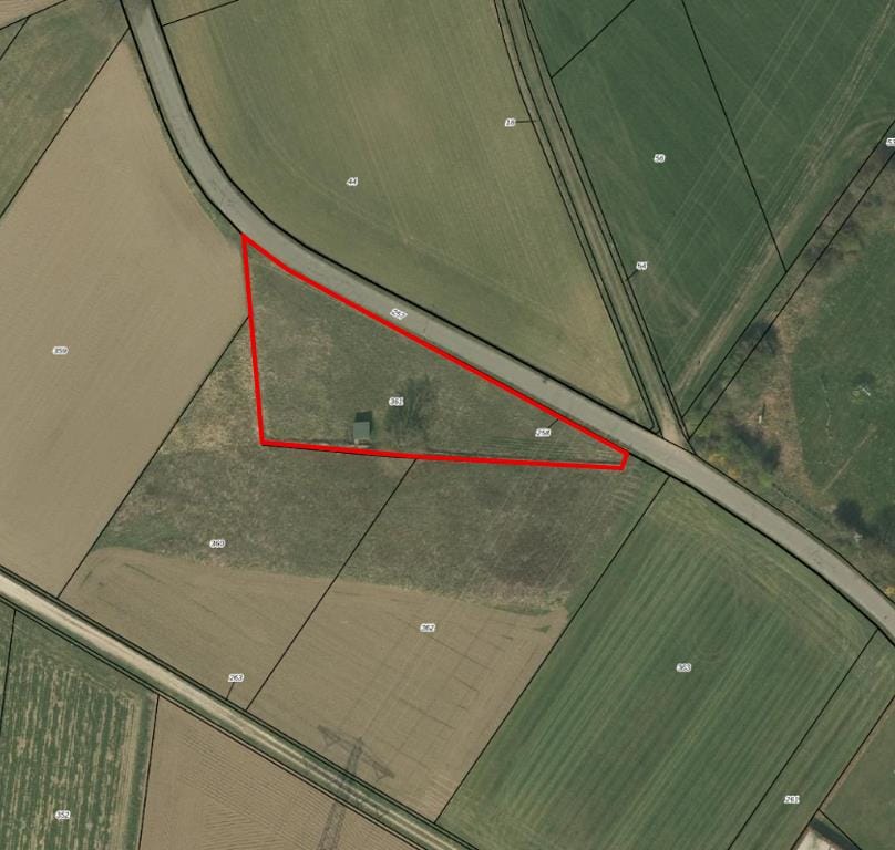 Bekijk foto 1 van Molenweg