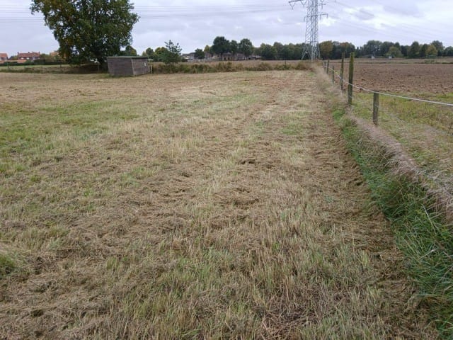 Bekijk foto 3 van Molenweg