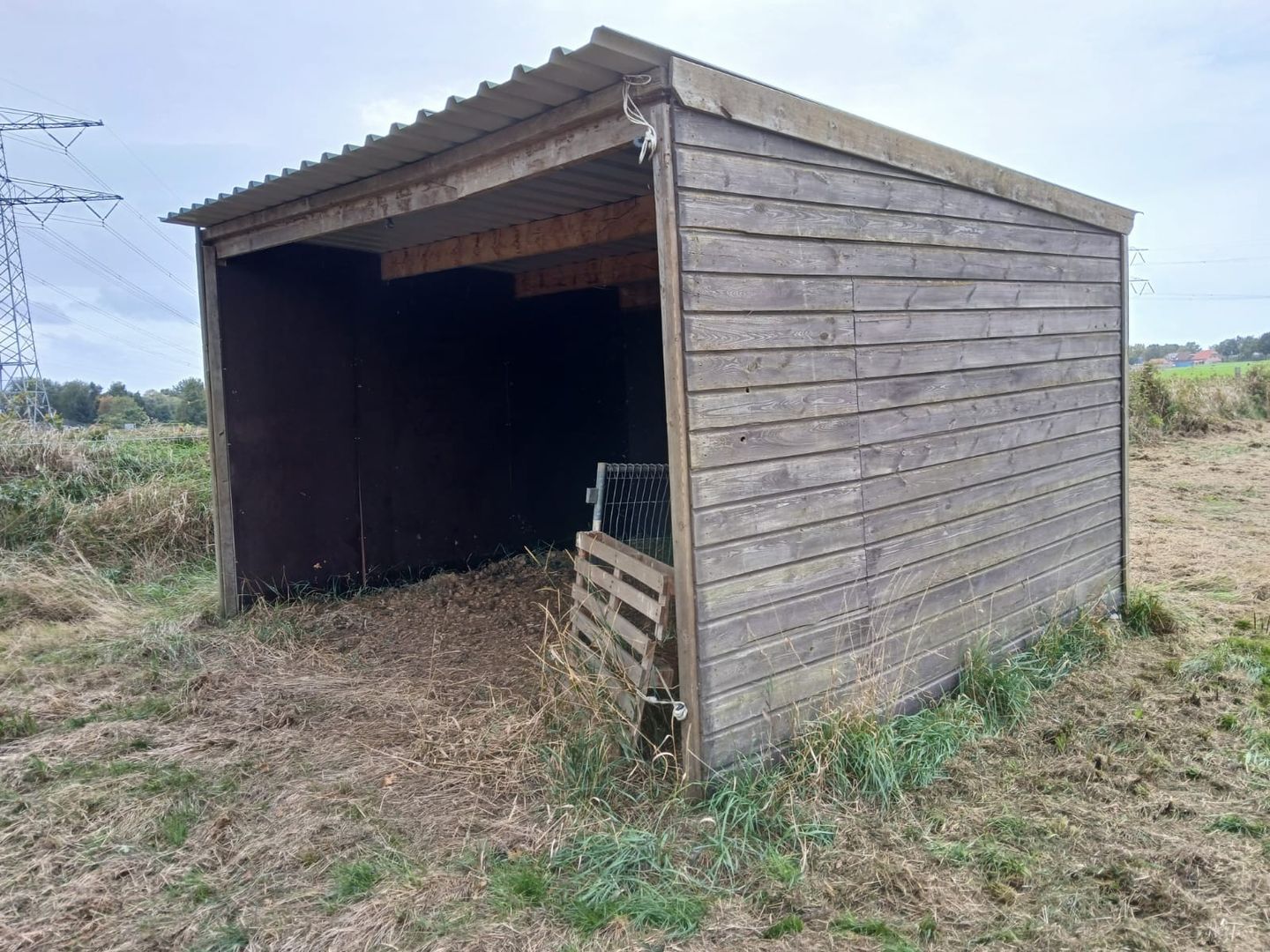 Bekijk foto 4 van Molenweg