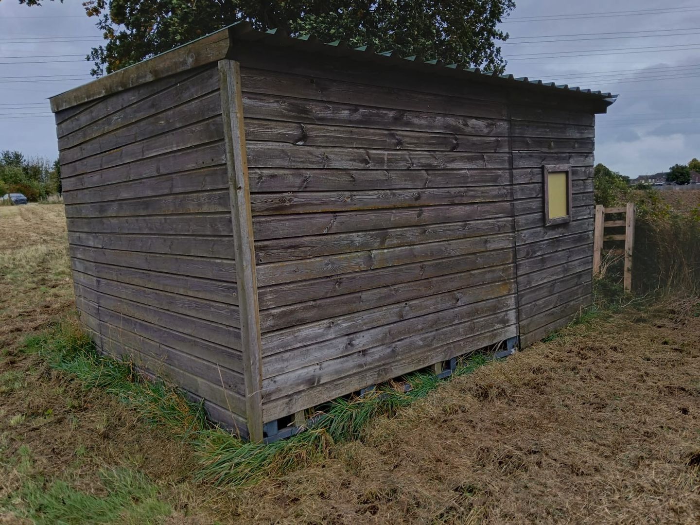 Bekijk foto 5 van Molenweg