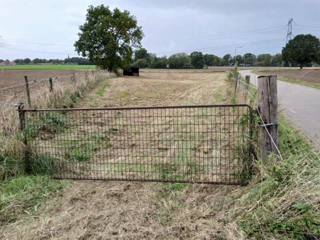 Bekijk foto 2 van Molenweg