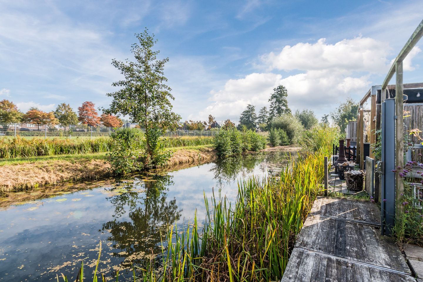 Photo 50 of Beukmolen 42