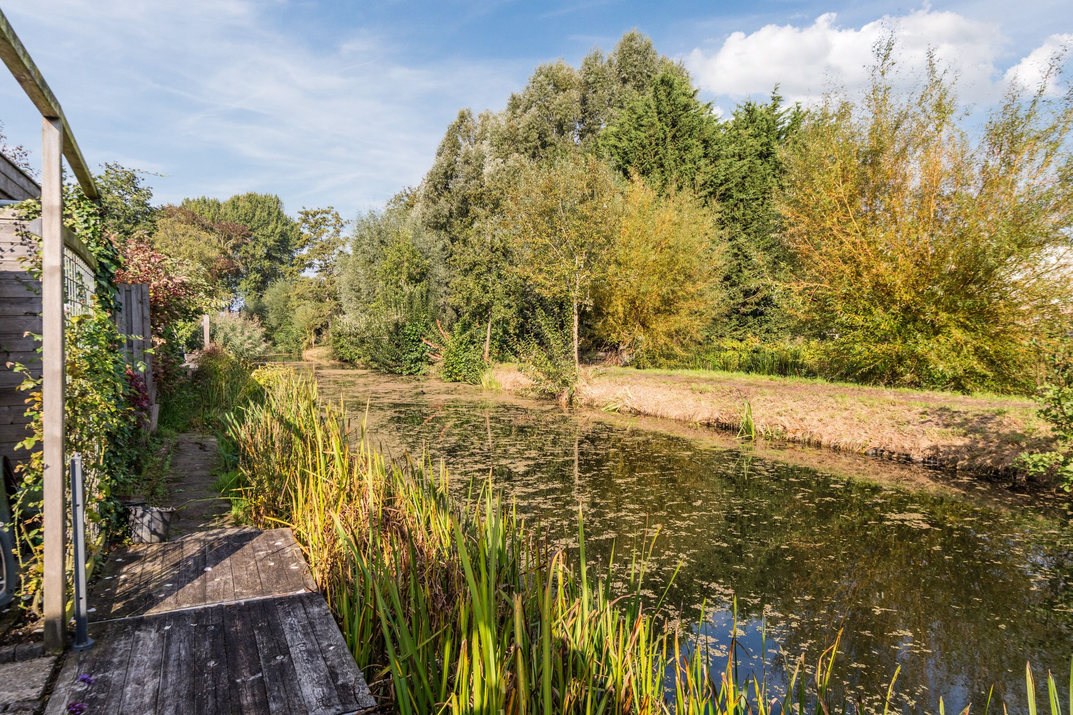 Photo 51 of Beukmolen 42