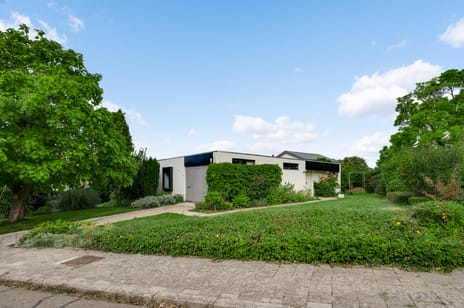 undefined main image