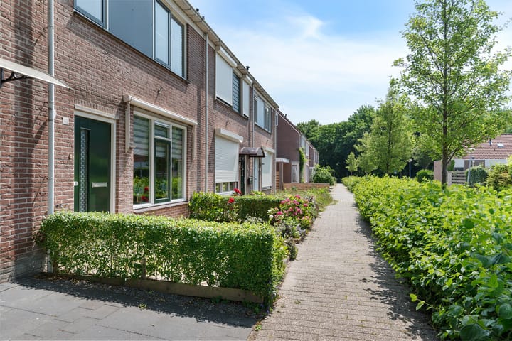 Foto 38 van Kinderbalk 40