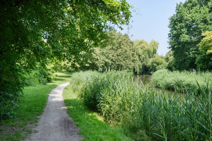 Foto 42 van Kinderbalk 40