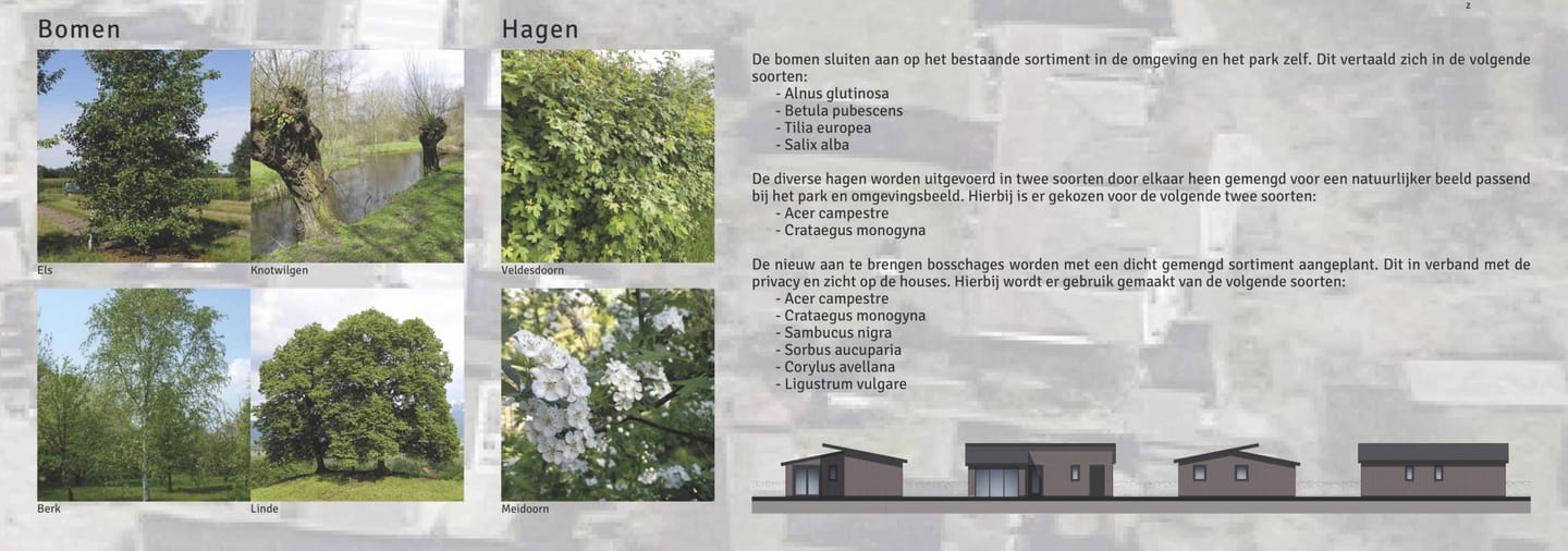 Foto 20 van Yn 'e Lijte 1