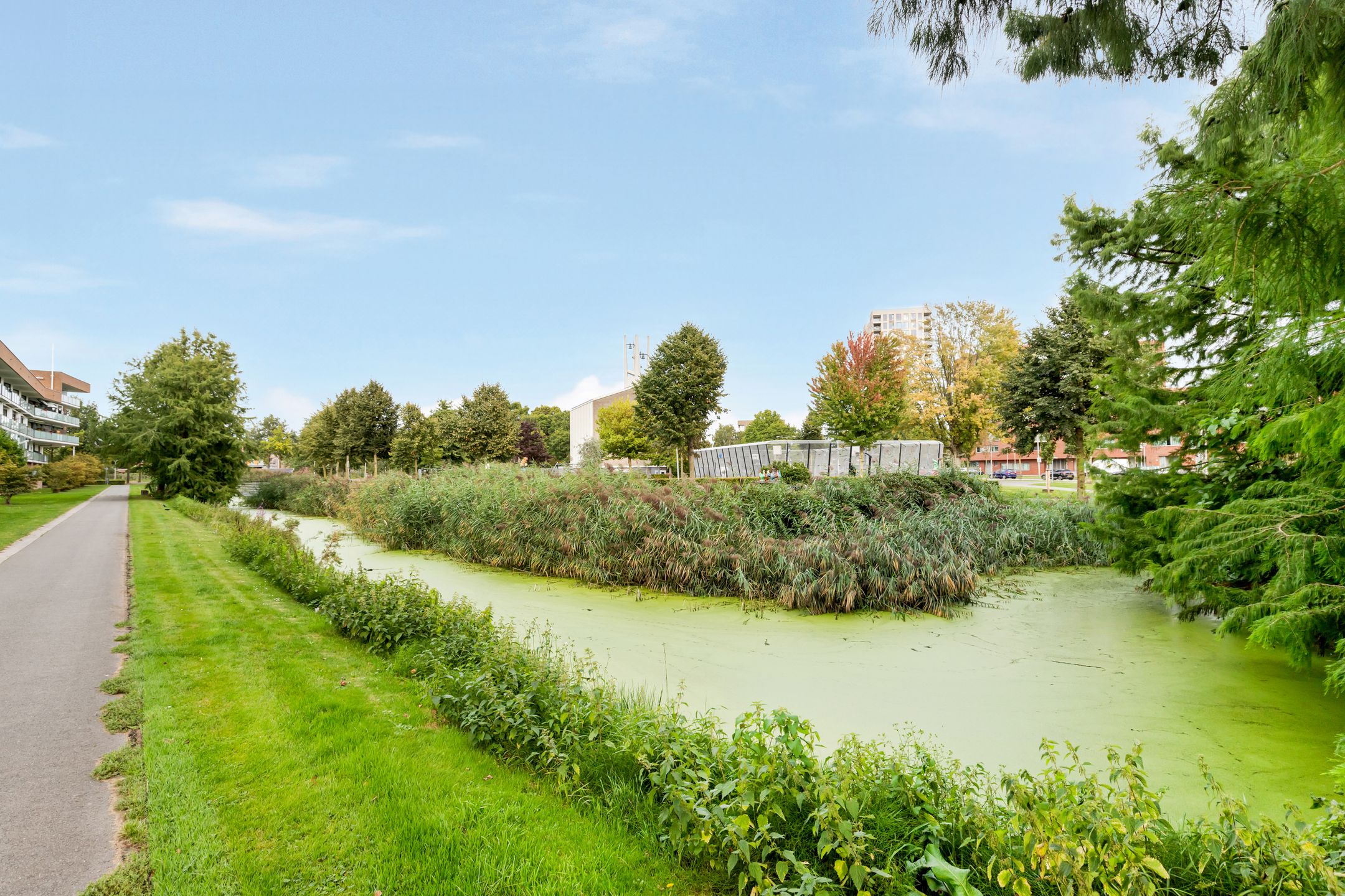 Foto 3 van Van Spilbergenstraat 11-A