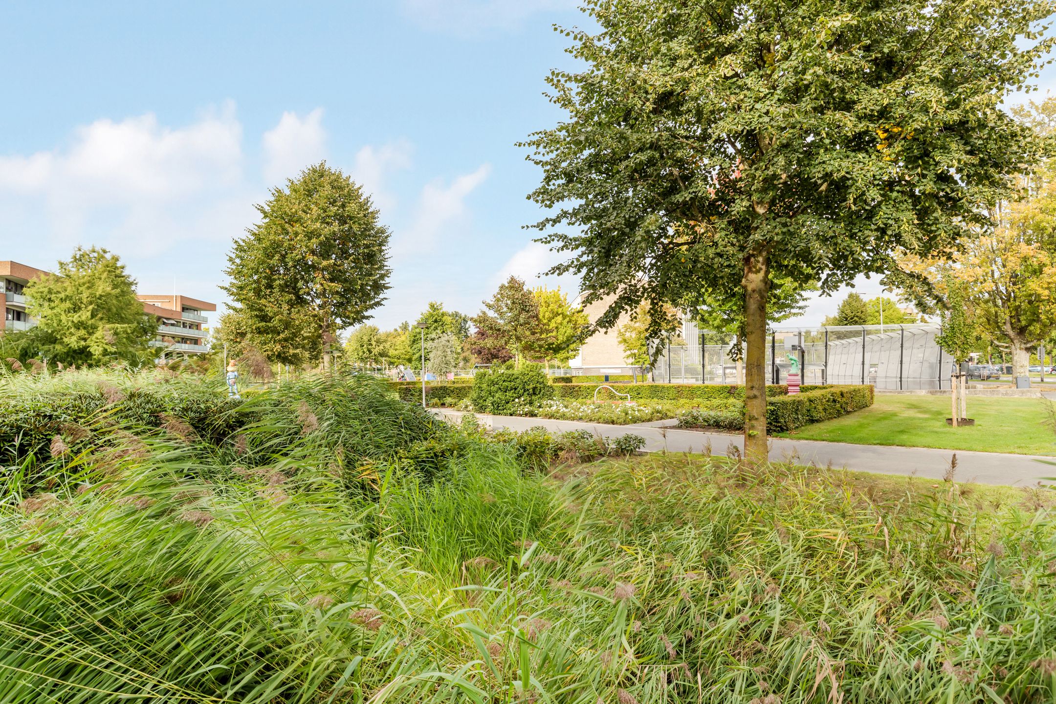 Foto 21 van Van Spilbergenstraat 11-A