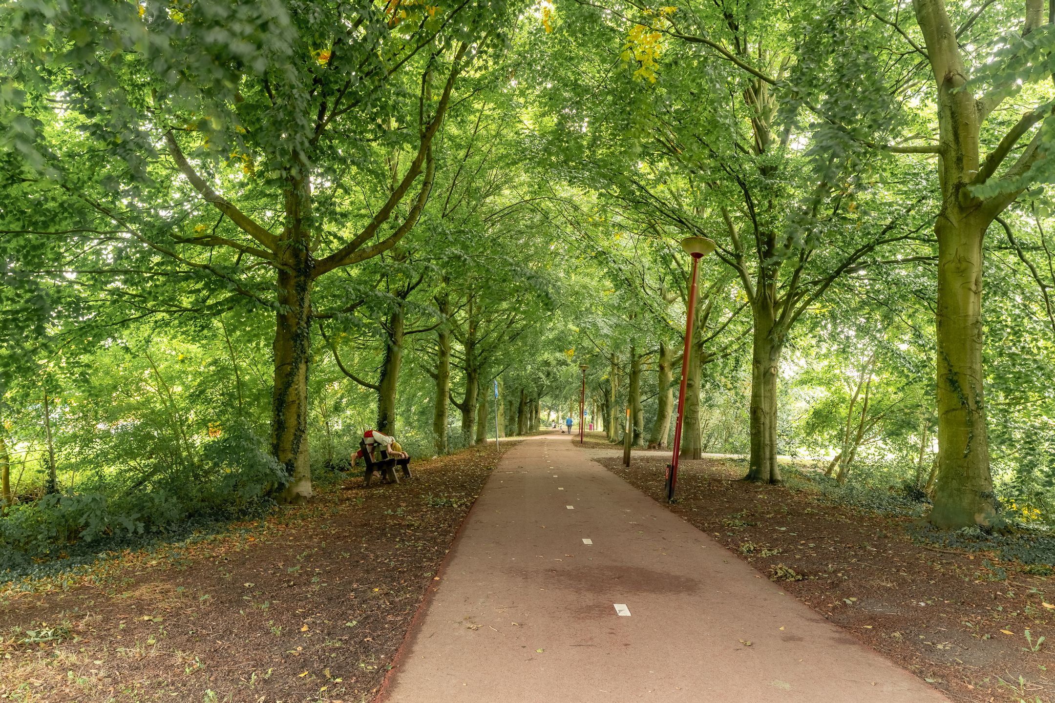 Foto 30 van Muiderschans 269