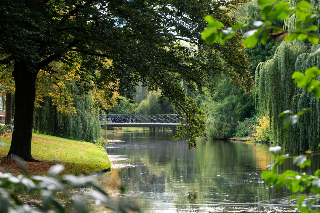 Foto 23 van Spoorsingel 59-B02