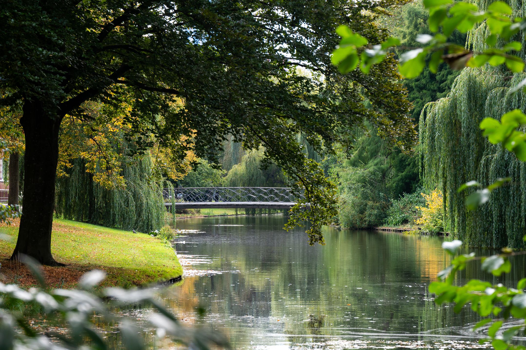 Foto 24 van Spoorsingel 59-B02