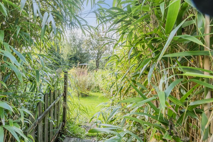 Foto 51 van Nieuwendammer Molenpad 21