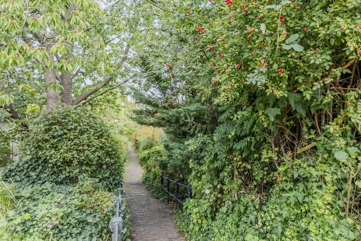 Foto 52 van Nieuwendammer Molenpad 21