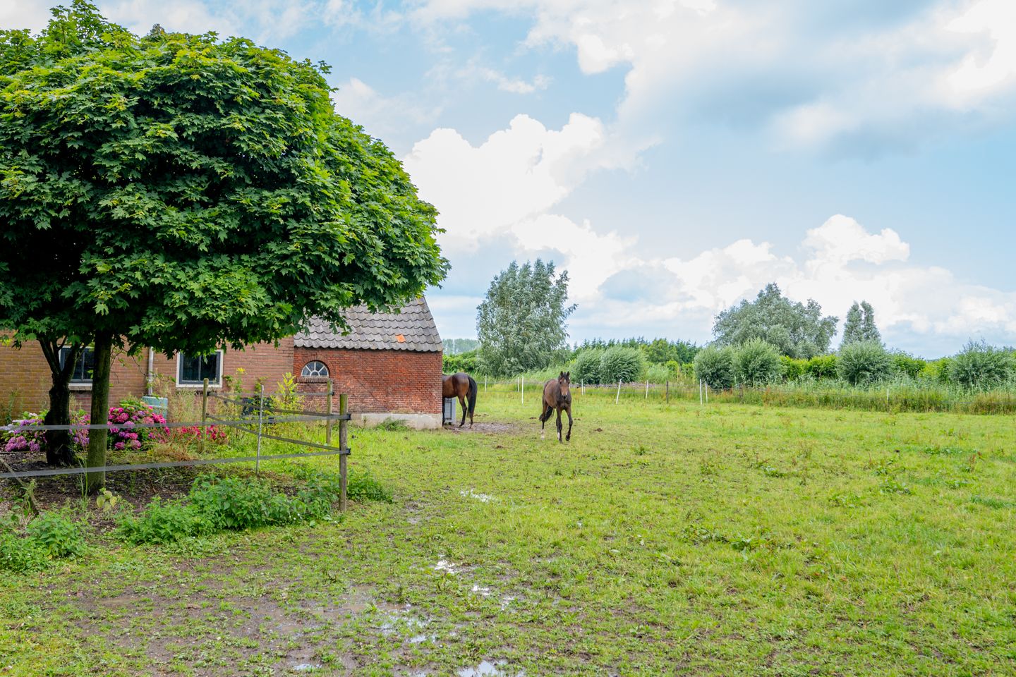Photo 50 of Lange Uitweg 35