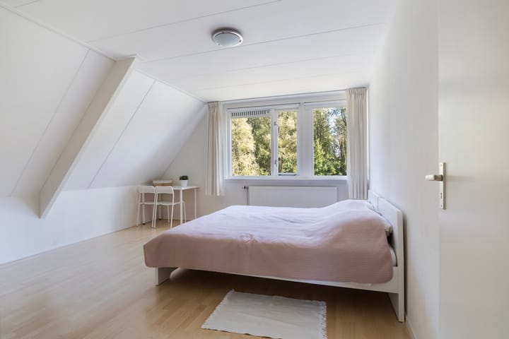 Foto 4 van Maanbaan 3