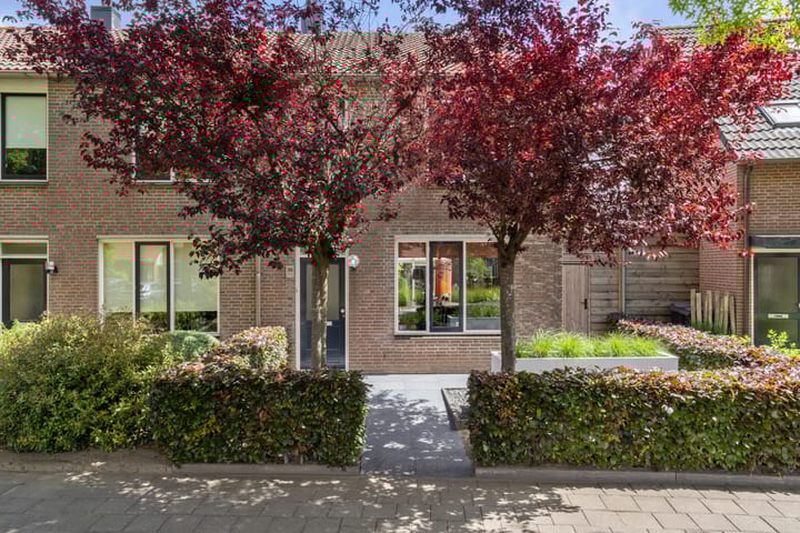 Foto 5 van Houtduif 35