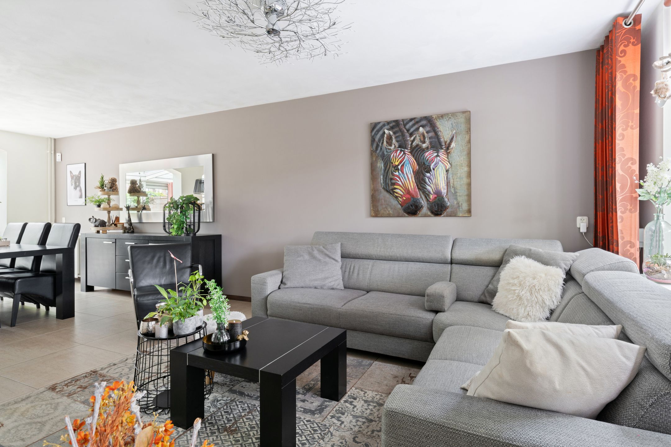 Foto 6 van Houtduif 35