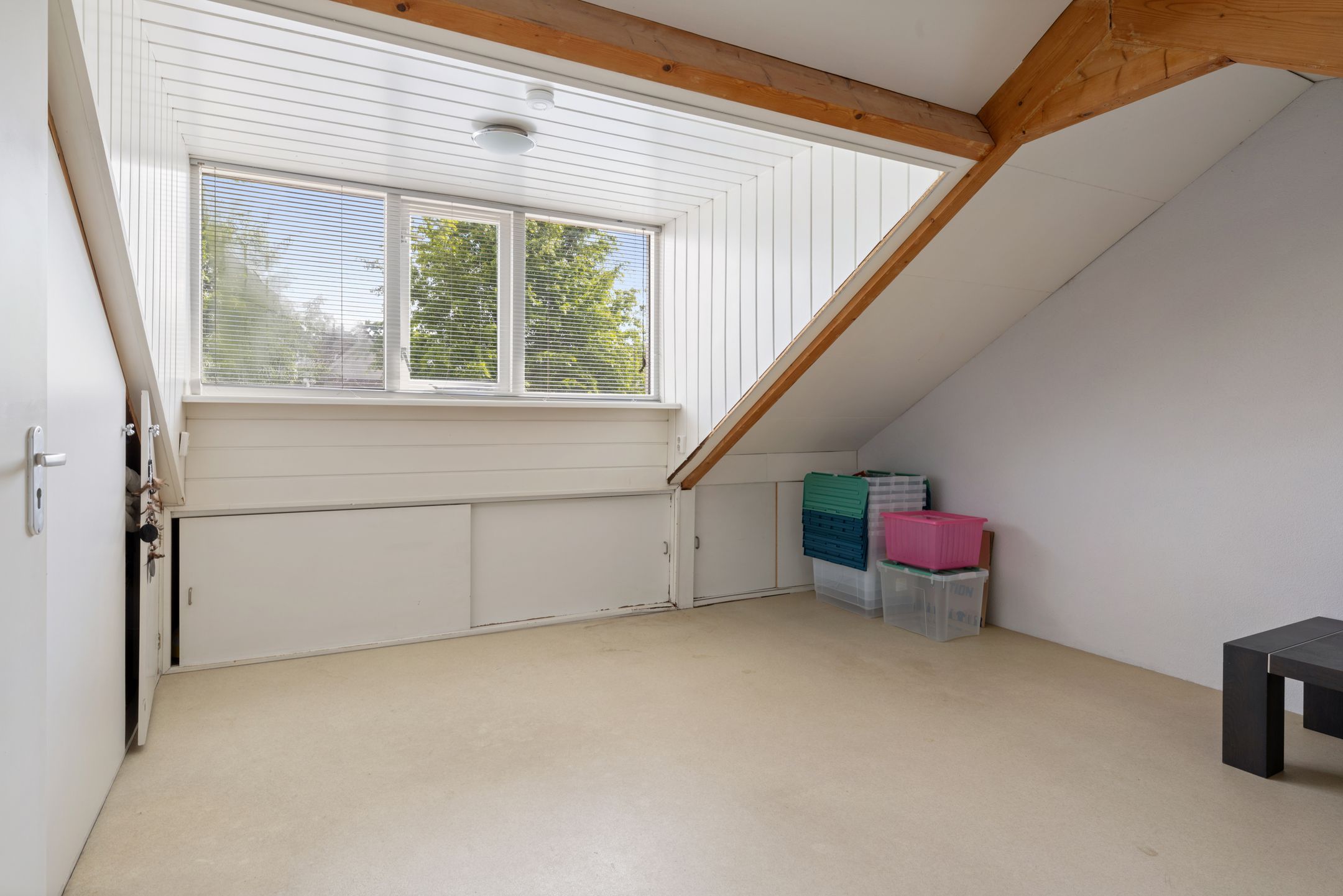 Foto 30 van Houtduif 35