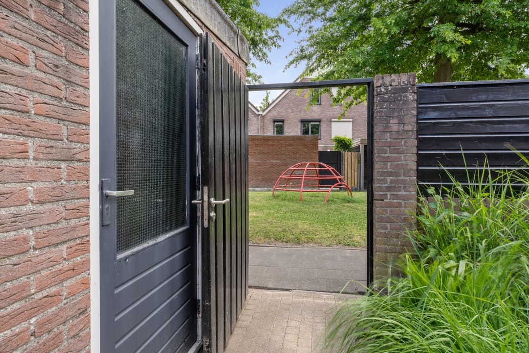 Foto 38 van Houtduif 35