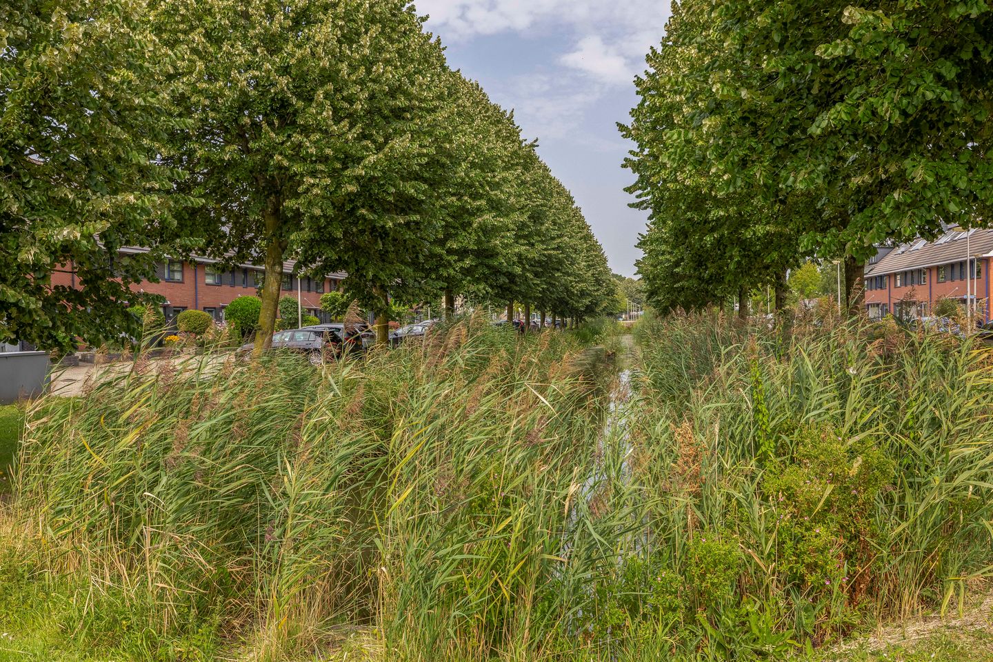 Foto 29 van Zonnesingel 5