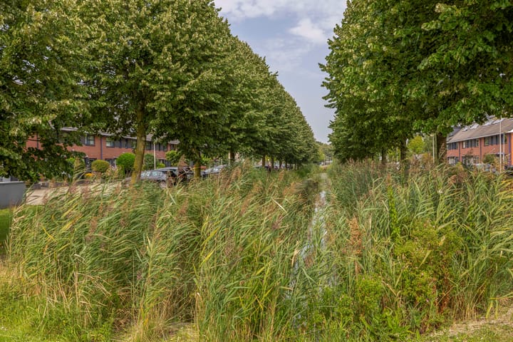 Foto 29 van Zonnesingel 5