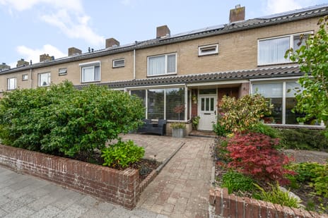 undefined main image