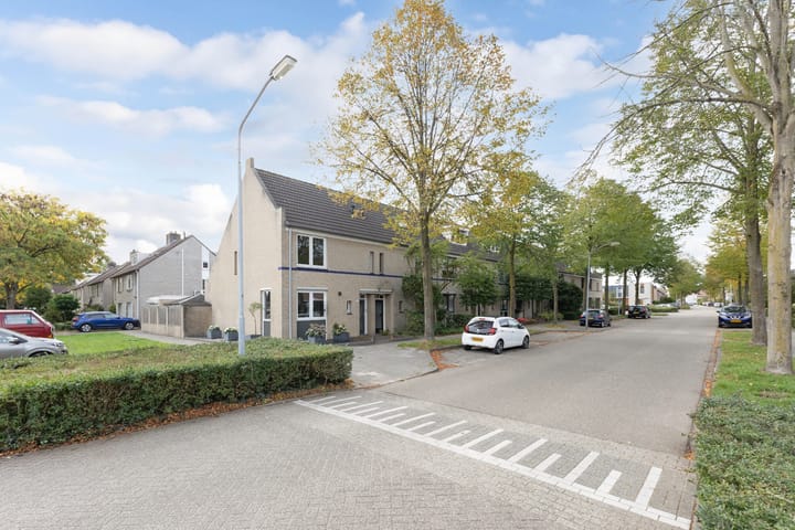 Foto 41 van Langvennen-Zuid 107