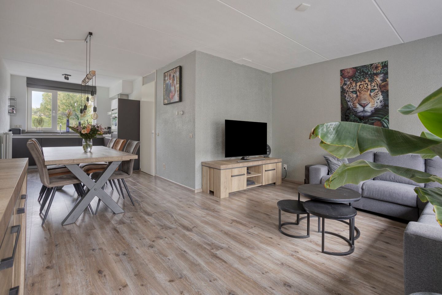 Foto 5 van Esdoorn 14