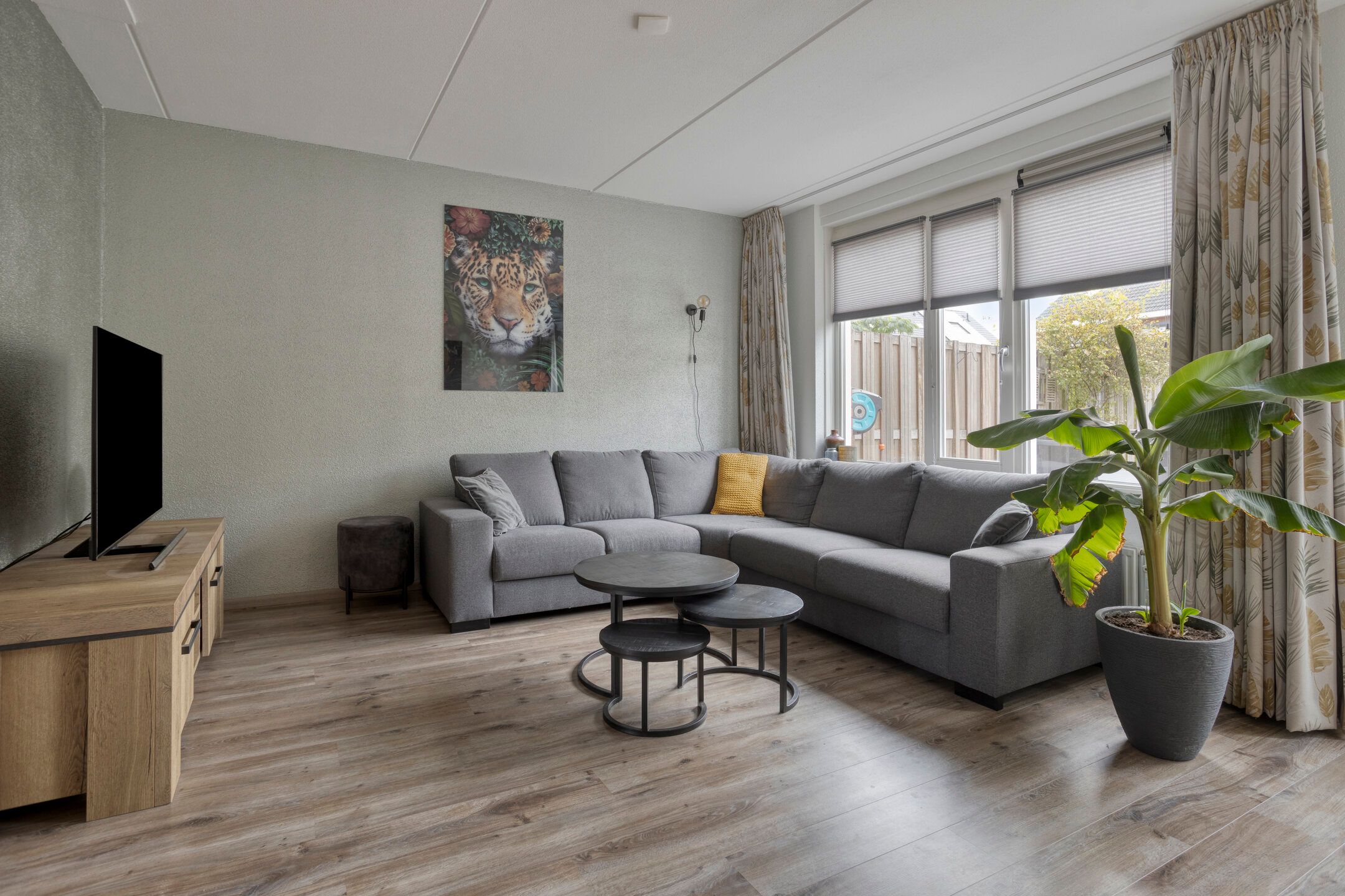 Foto 9 van Esdoorn 14