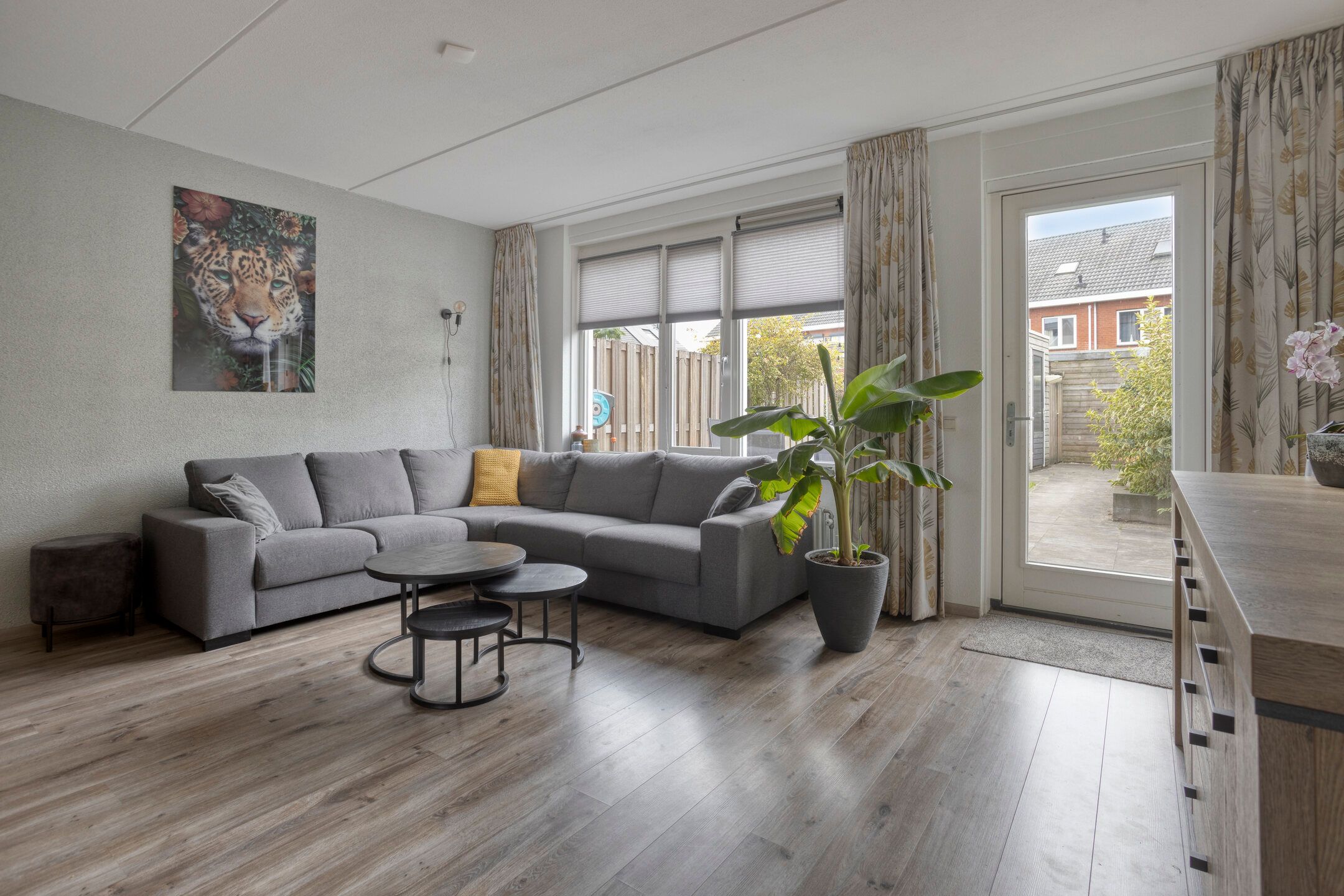 Foto 12 van Esdoorn 14