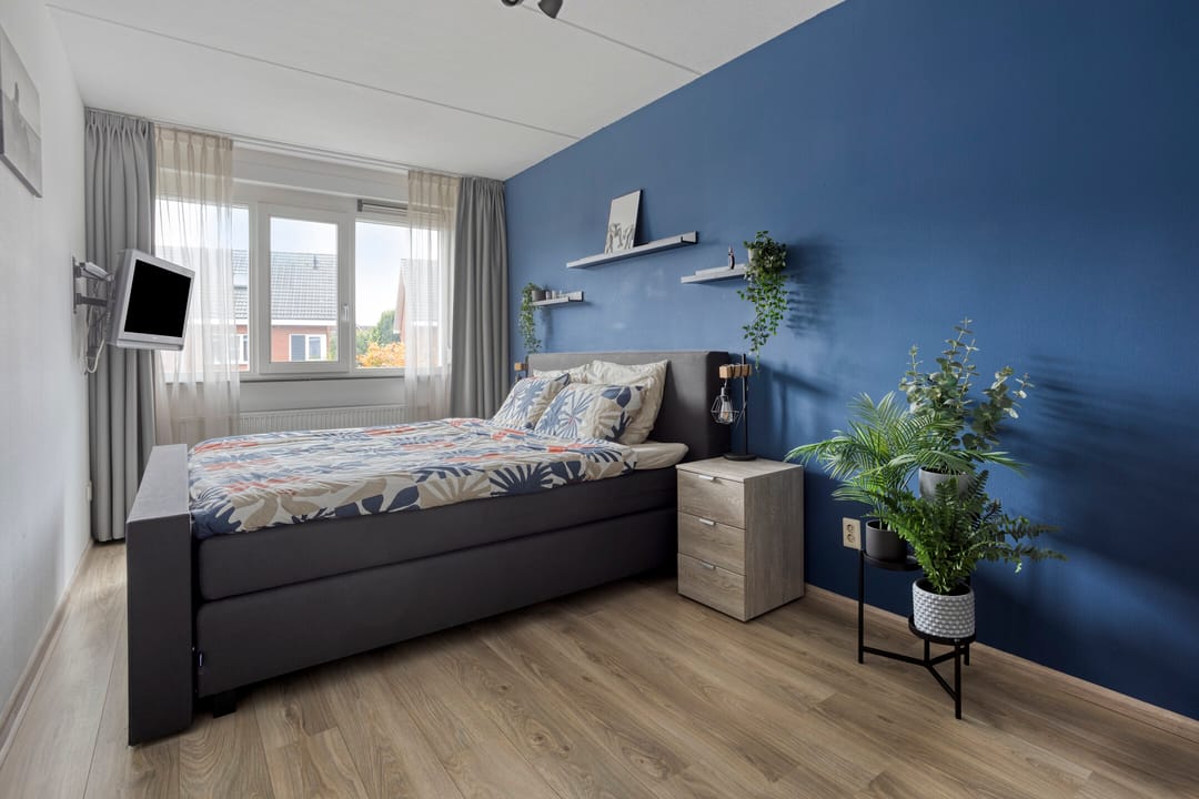 Foto 16 van Esdoorn 14