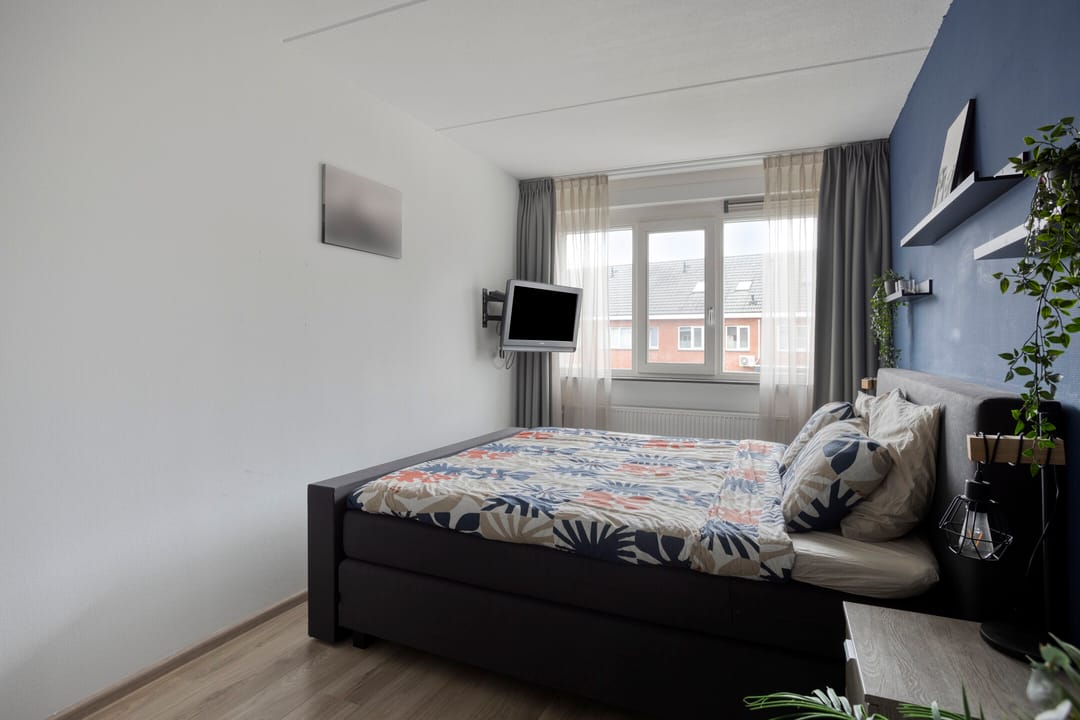 Foto 17 van Esdoorn 14