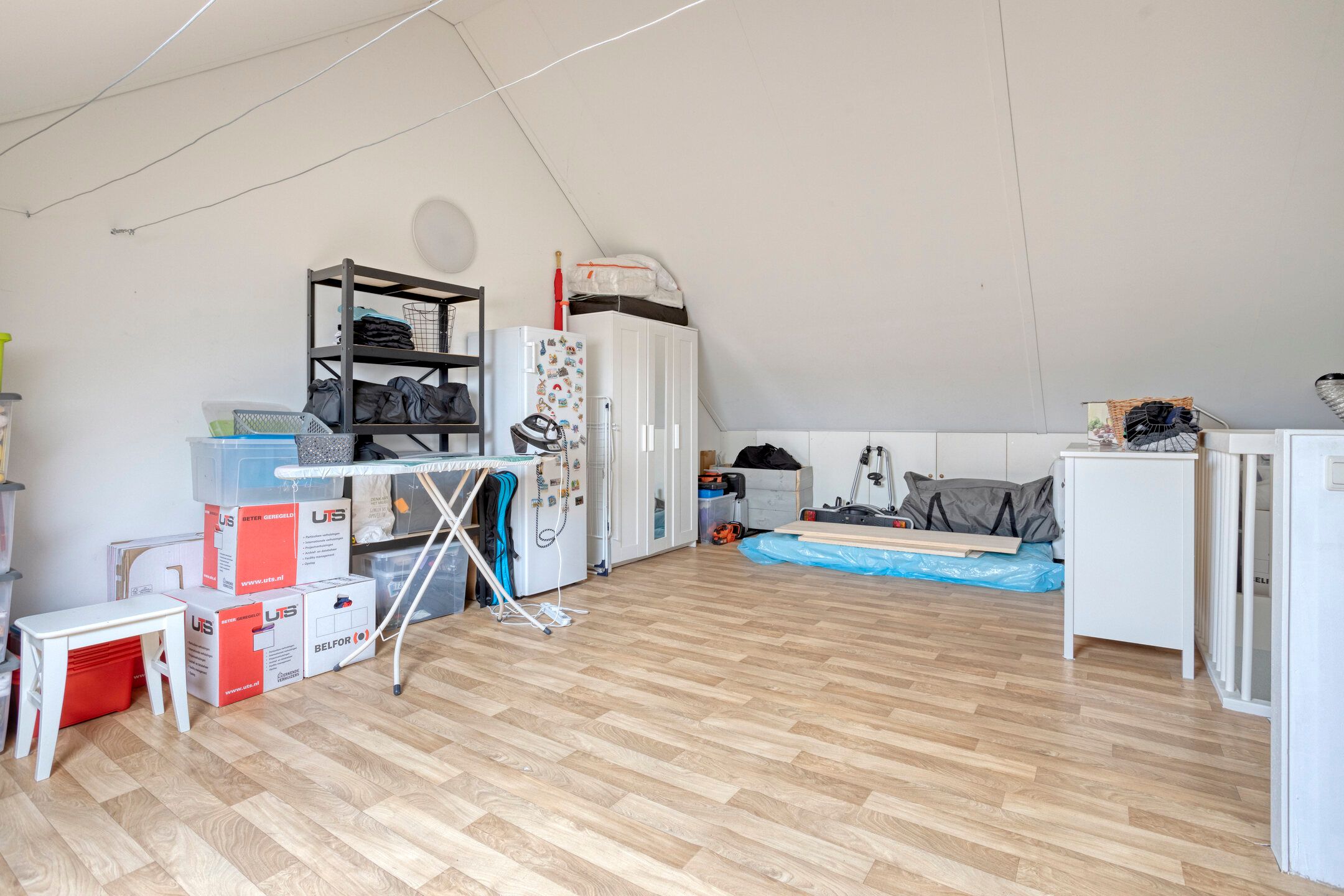 Foto 24 van Esdoorn 14