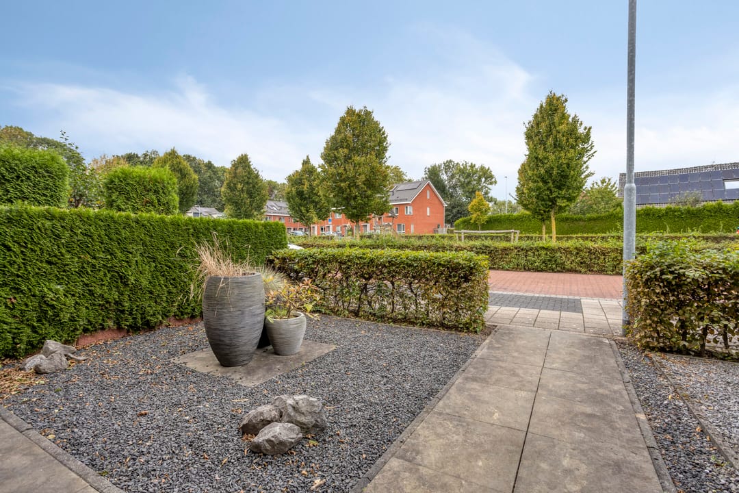 Foto 28 van Esdoorn 14