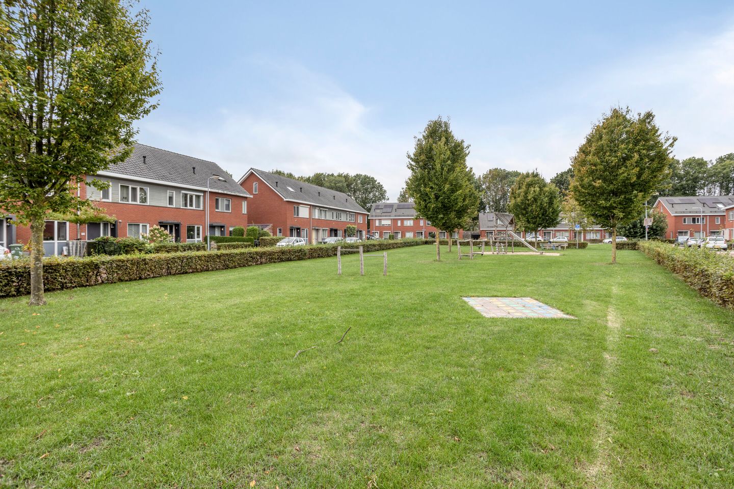 Foto 29 van Esdoorn 14