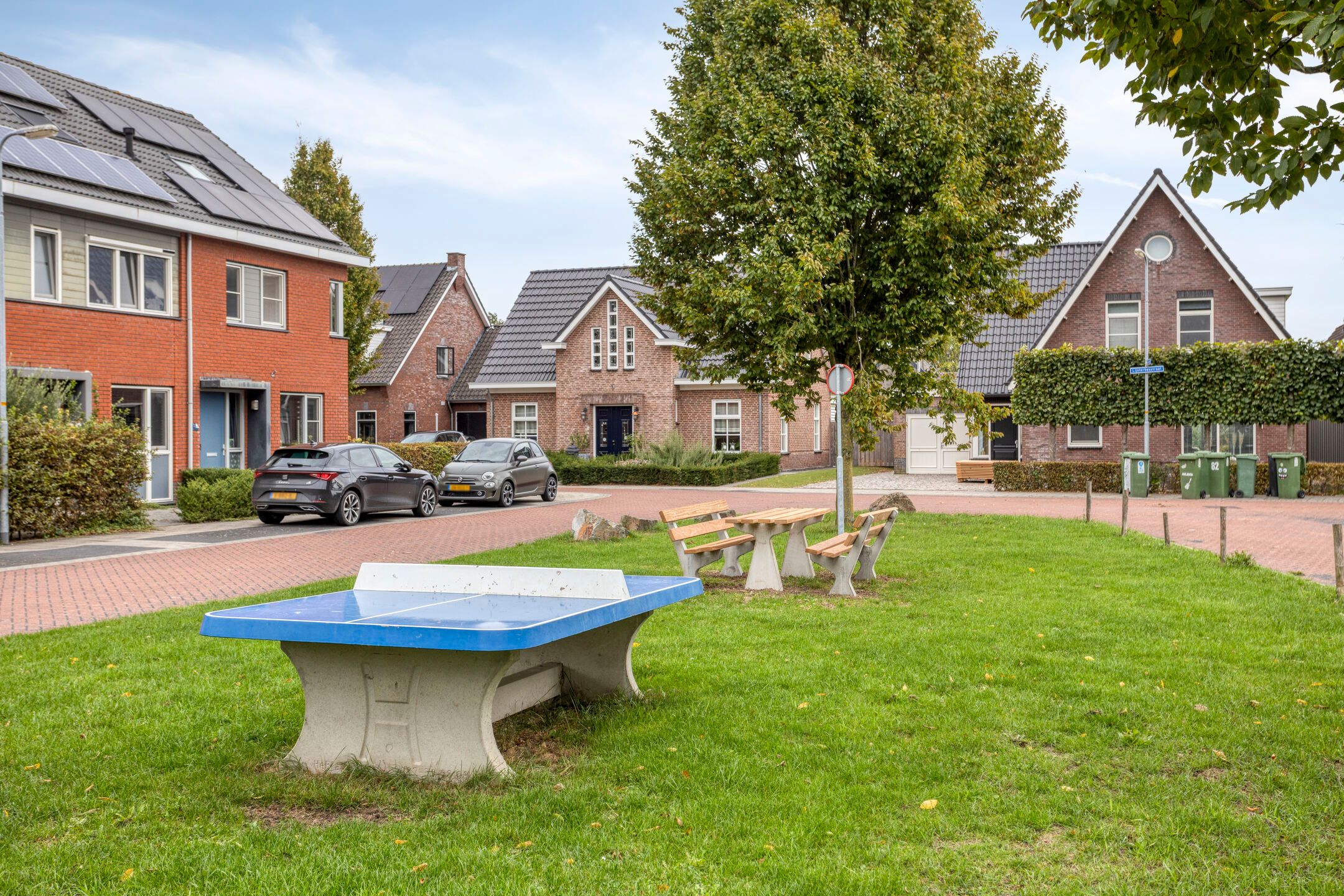 Foto 30 van Esdoorn 14