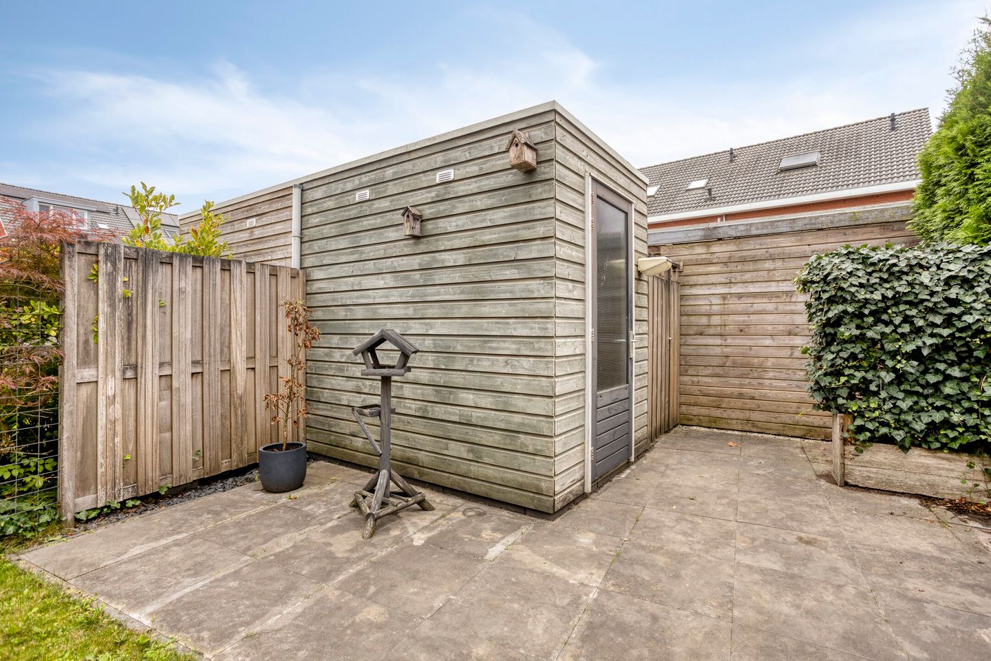 Foto 25 van Esdoorn 14