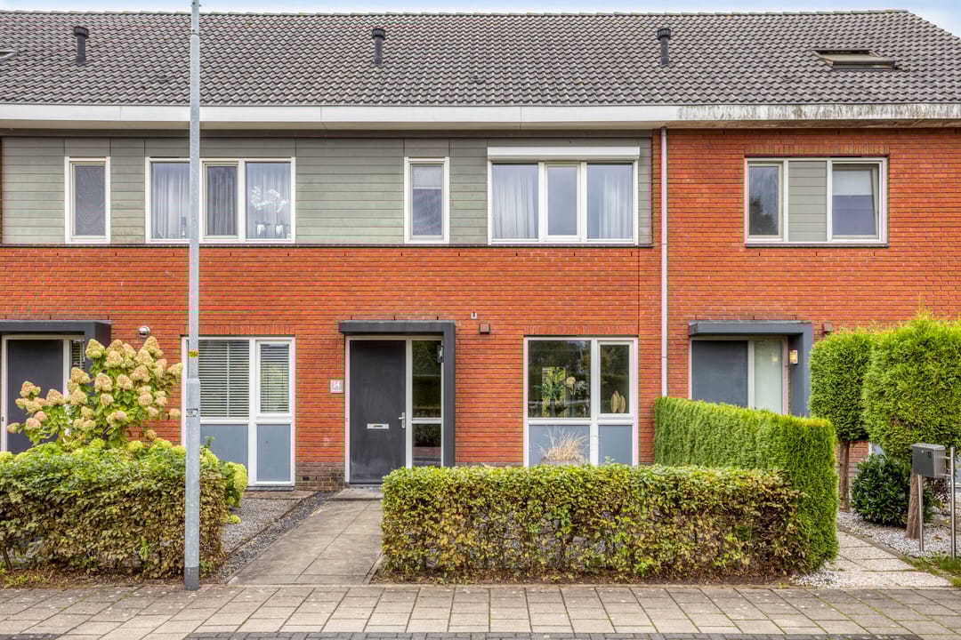 Foto 31 van Esdoorn 14