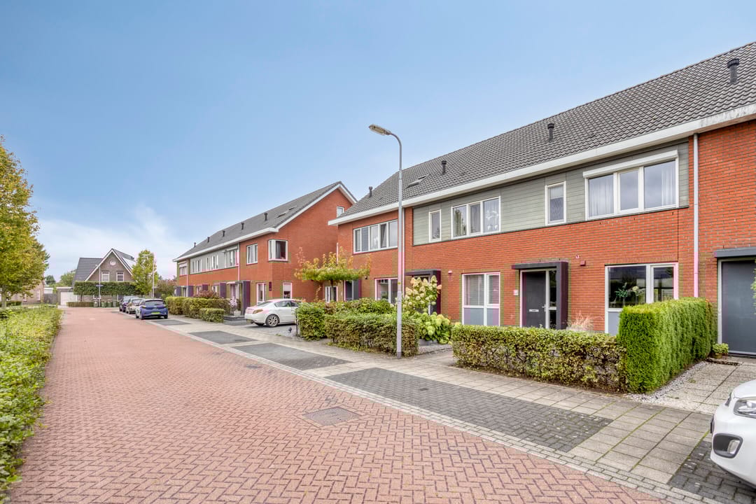 Foto 32 van Esdoorn 14