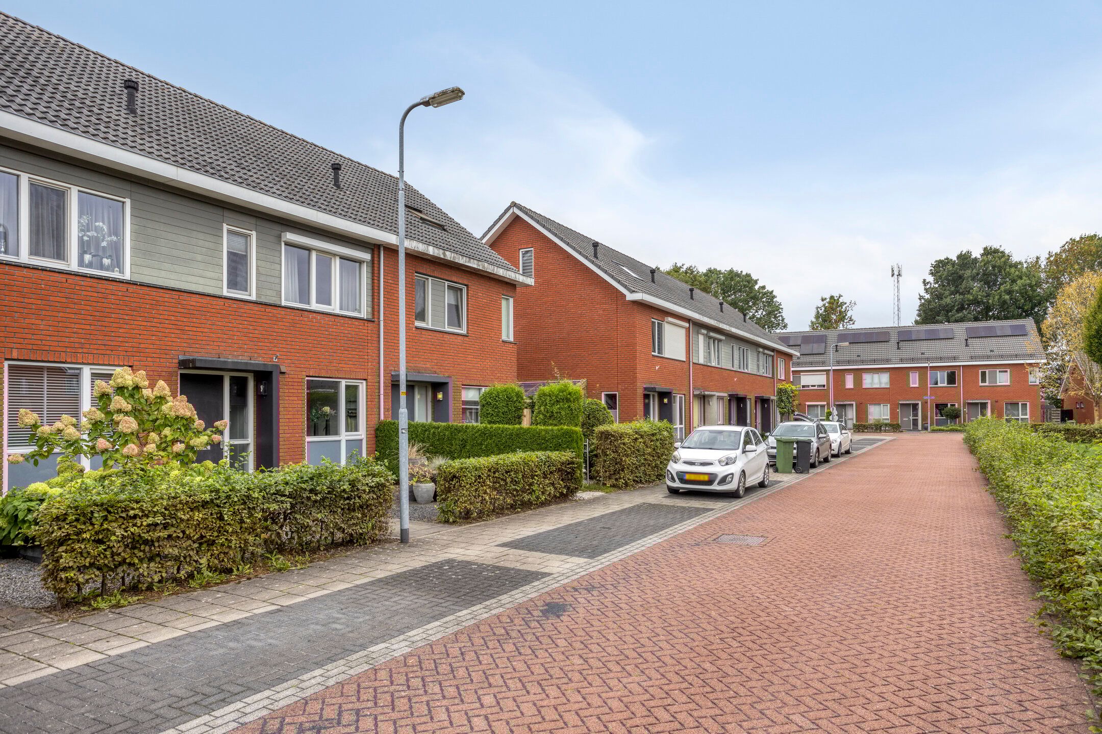 Foto 33 van Esdoorn 14