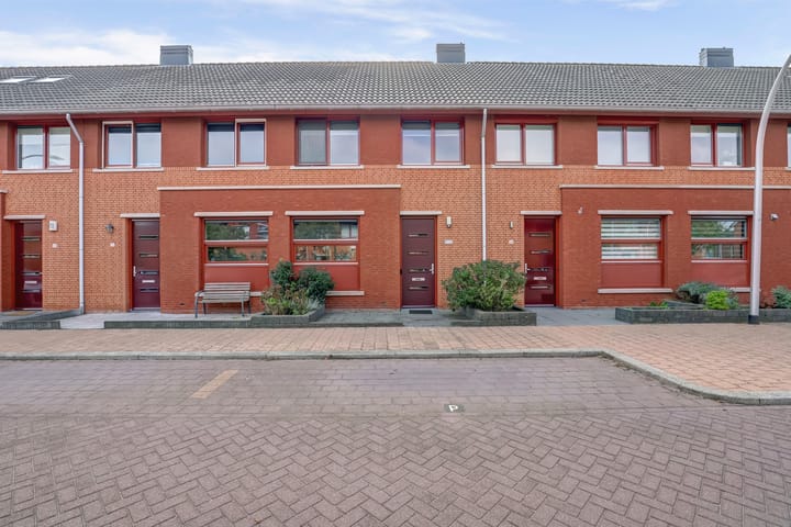 Fonteinkruid 50 main image